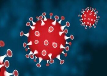दुनियाभर में बढ़ गए हैं कोरोना संक्रमण के 52 प्रतिशत मामले